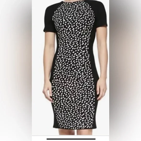 Tory Burch Gemma Sweater Dress Polka Dot Merino Wool Leopard Black White Size L - Picture 2 of 12